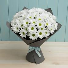 Букет цветов из:  Хризантемы в Бузиновской