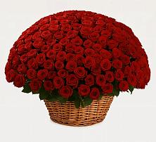 Премиум букет из: Розы в Бузиновской