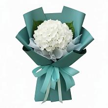 Букет цветов из:  Гортензия в Бузиновской